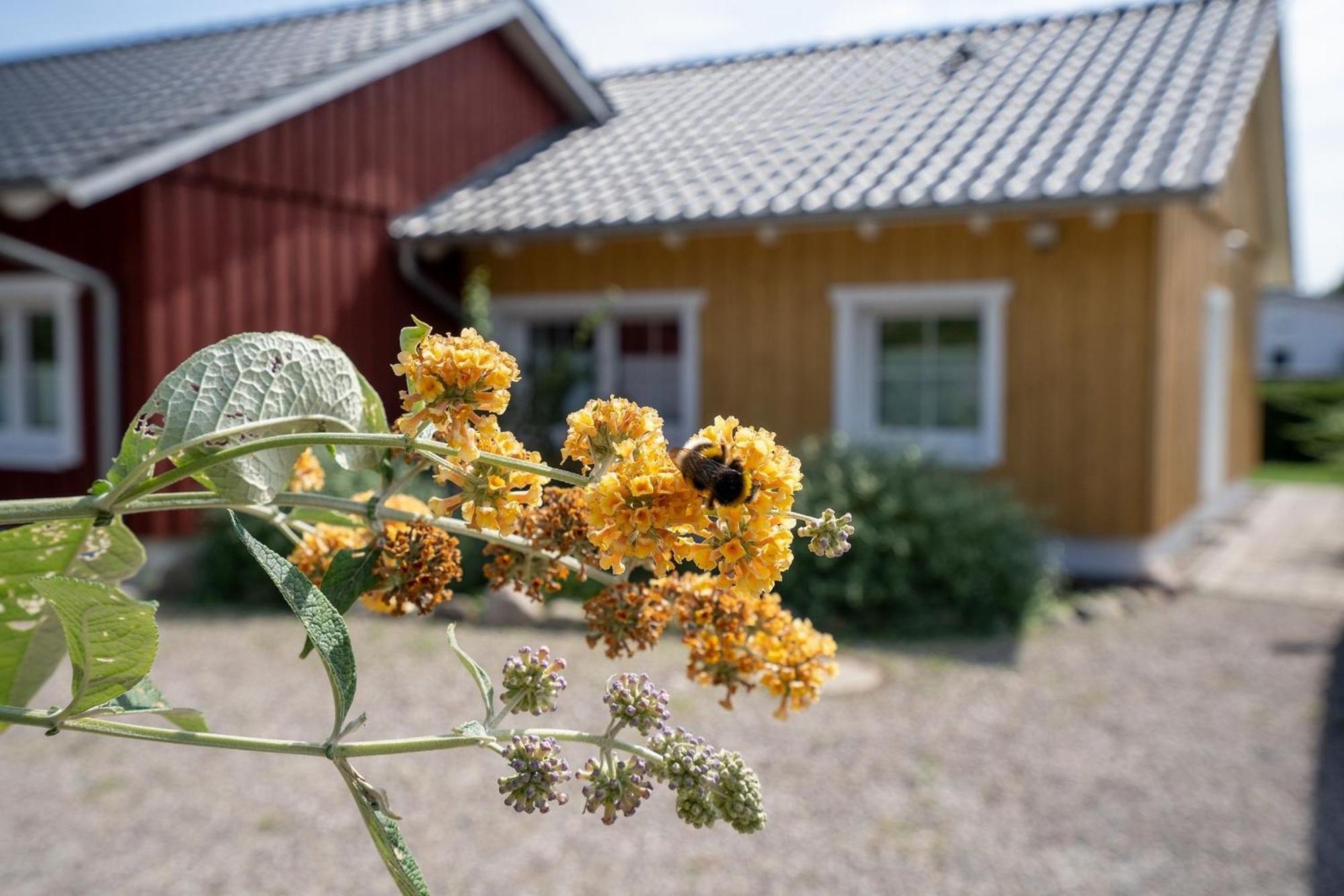 Alte Dahme Haus 2 Villa Eksteriør billede